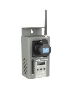 198160.jpg